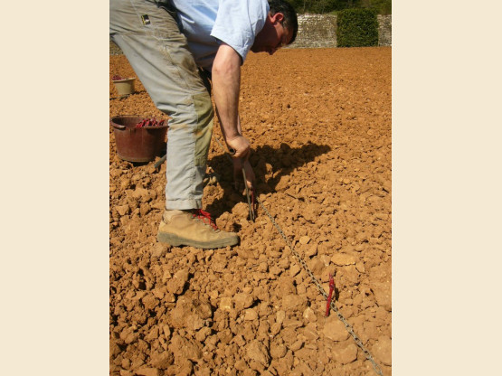 Clos de Rochebonne