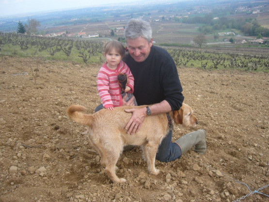 Plantation sur la côte 2012