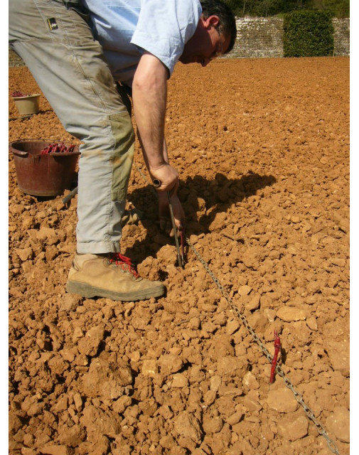 Clos de Rochebonne