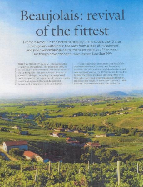 Beaujolais: revival of the fittest- by James Lawther MW- Decanter , May 2015 - 2015/05